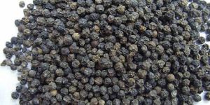 Black Pepper Seeds