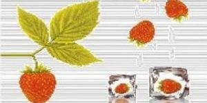 Kitchen Concept Series Wall Tiles