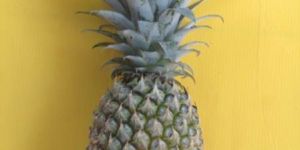 Fresh Pineapple