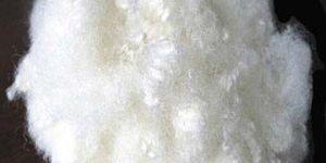 Polyester Fiber