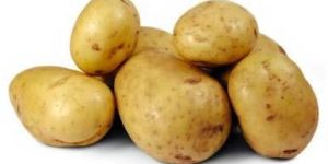 Fresh Potato