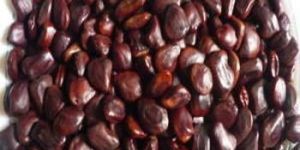Tamarind Seed