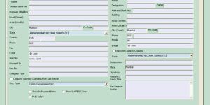 Payroll Management Software