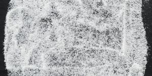 Desiccated Coconut Powder