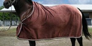 Horse Rugs