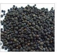 Black Pepper Seeds