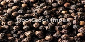 Black Pepper Seeds