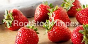 Fresh Strawberry