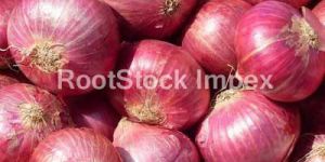 Red Onions