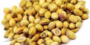 Coriander Seed