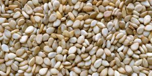 White Sesame Seed
