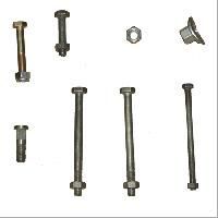Auto Nuts