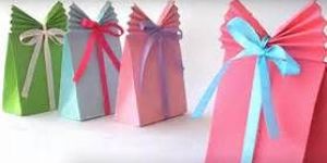 Paper Gift Bag