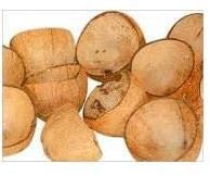 Coconut Shell