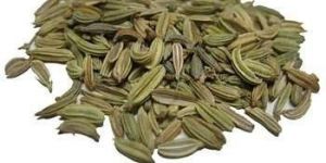 Fennel Seeds