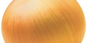 Yellow Onion