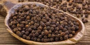 Black Pepper Seeds