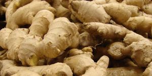 Fresh Ginger