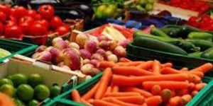 Fresh Vegetables