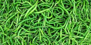Fresh Green Chilli
