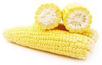 Yellow Maize
