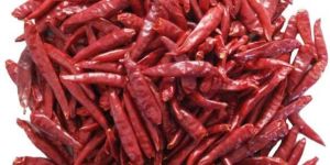Dried Red Chili