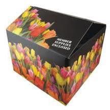 Corrugated Boxes
