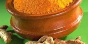 Turmeric Powder