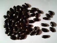 Custard Apple Seeds