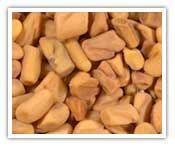 Fenugreek