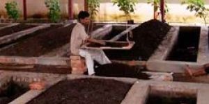 Vermi Compost and Vermi Zyme