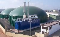 Biogas