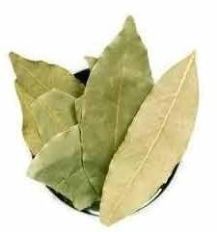 Bay Leaf