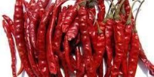Dried Red Chilli