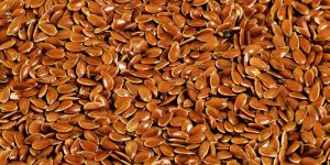 Flax Seeds