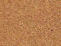 Yellow Millet