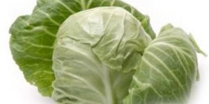 Fresh Cabbage