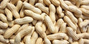 Shelled Groundnuts