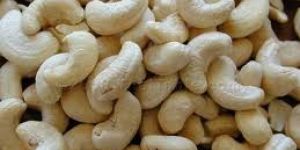 Cashew
