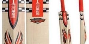 Cricket Bats
