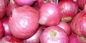 Red Onion