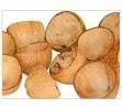 Coconut Shell