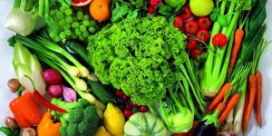Fresh Vegetables