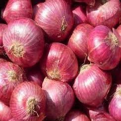 Fresh Red Onion