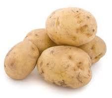 Potato