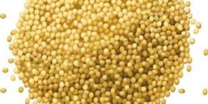 Millet