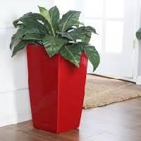 Indoor Planter
