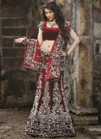 Bridal Lehnga Choli
