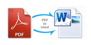 PDF to Word Converter Services