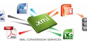Xml Conversion Services